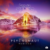 Psychonaut (Remixes) artwork