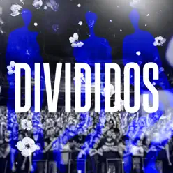 16/2/19 Flores (En Vivo) - Single - Divididos