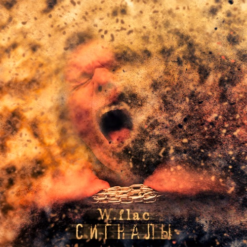 cover for track Сигналы - Single of artist W.flac