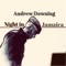 Night In Jamaica - Andrew Downing lyrics