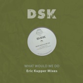 What Would We Do (Eric Kupper Remix Instrumental) artwork