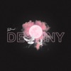 Destiny - Single