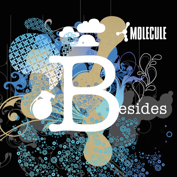 Besides (feat. Zig Zag, Flox, fefè, Leeroy, Blond Dub Sexy Sound & Martina Topley-Bird) - Molecule