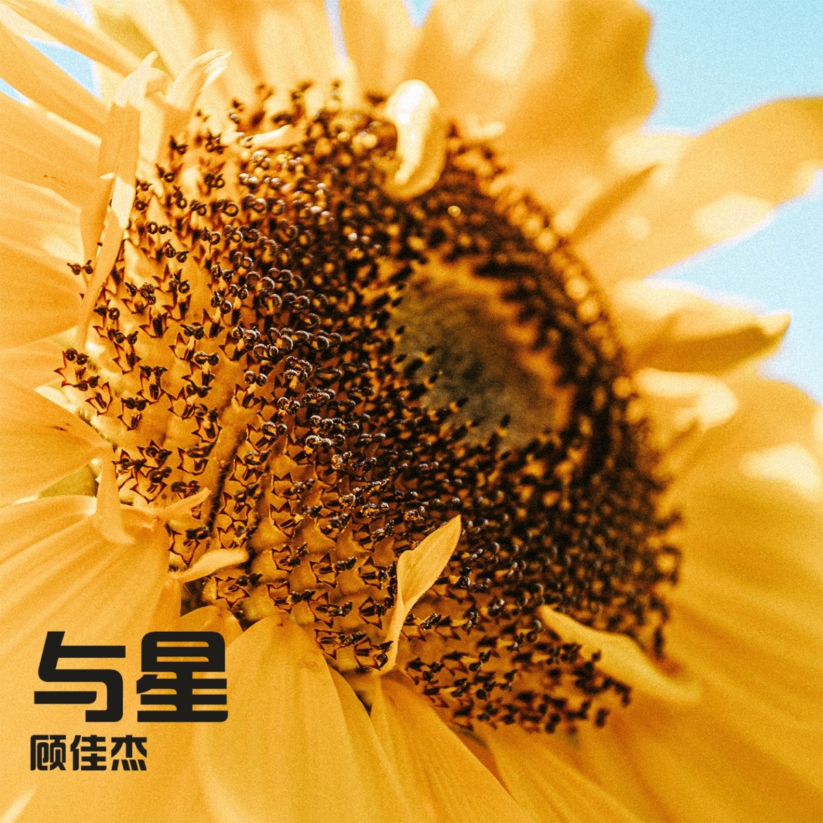 与星 Single By 顾佳杰on Apple Music