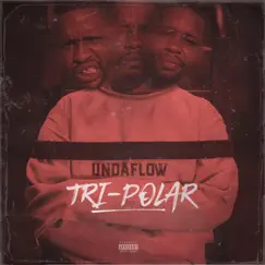 Tri -Polar by Undaflow album reviews, ratings, credits