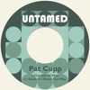 Pat Cupp & The Flying Saucers - I Guess It's Meant That Way