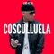 Cosculluela - LUC4S DJ lyrics