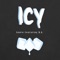 Icy (feat. S.O.) - Lanre lyrics