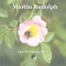 Strawdogs (feat. Selina Rudolph) - Martin Rudolph lyrics