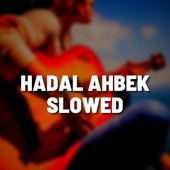 Hadal Ahbek Slowed (Remix) artwork