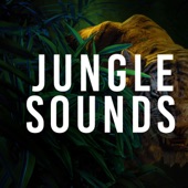 Jungle Sounds artwork