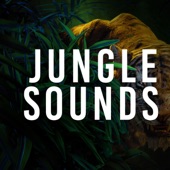 The Jungle artwork