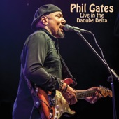 Phil Gates (Live in the Danube Delta) artwork