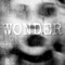 Wonder (feat. Ruelle) - Happy Walters lyrics
