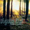 Agnus Dei 1993/1994 album lyrics, reviews, download