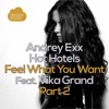 Feel What You Want, Part 2 (feat. Vika Grand) - Single