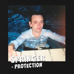 SPRINGER - Protection