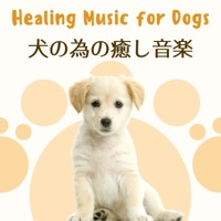 犬の為の癒し音楽 犬が落ち着く音楽 ヒーリング睡眠音楽 動物病院ドッグカフェbgm 動物病院 Album Lyrics