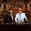 A Traves del Vaso (Remix) [feat. Luis Miguel Del Amargue] - Single