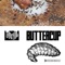 Buttercup (feat. Phf) - Rew lyrics