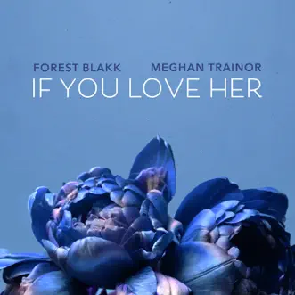 If You Love Her (feat. Meghan Trainor) by Forest Blakk song reviws