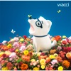 wacci