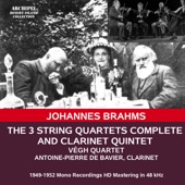 Brahms: Chamber Music artwork