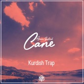 Cane (feat. Aram Serhad) artwork