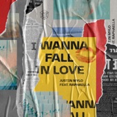 I Wanna Fall in Love (feat. Raphaella) [Extended Mix] artwork