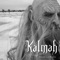 To the Gallows - Kalmah lyrics