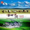 蒙古印象 - Various Artists