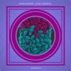 Kenan Savrun - Magenta