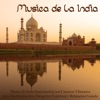 Música de la India - Música de Indu Instrumental con Cuencos Tibetanos para Meditaciòn Zen, Despertar Espiritual y Relajacion Guiada, 2015