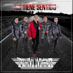No Tiene Sentido - Single - Grupo Temmor