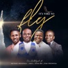 It's Time To Fly (feat. Michael Akingbala, Moz, Tosin Bee & Femi Okunuga) - Single