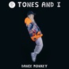 TONES & I/DJ NOIZ - Dance Monkey (Record Mix)