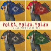 Die-Hard Polka Band - Vic'try Polka