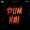 Dum Hai - KR$NA lyrics