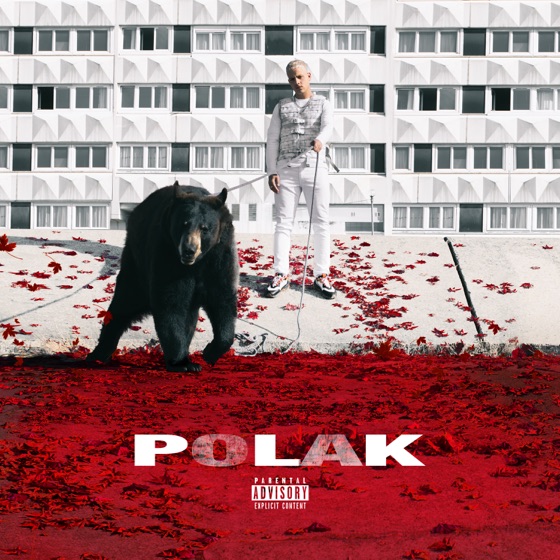 Cover artwork for Idiote