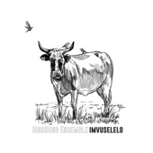 Imvuselelo (feat. Mandla Mlangeni) artwork