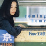Faye Wong - 容易受傷的女人