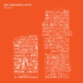 Big Dreaming Ants Remixes artwork