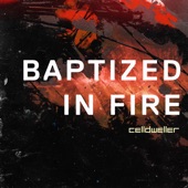 Baptized in Fire artwork