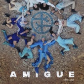 Amigue artwork