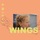 Amilli-Wings