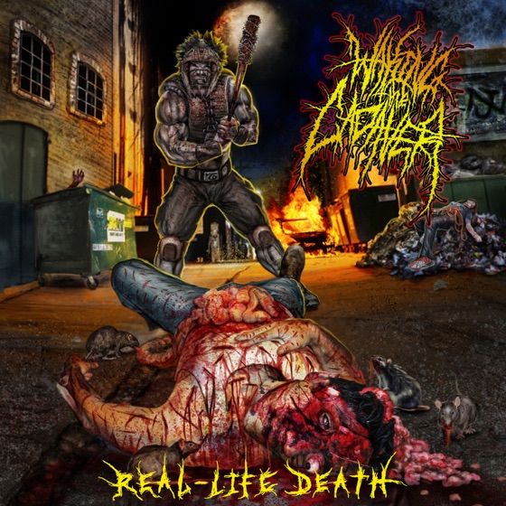 Cover artwork for Snapped In Half