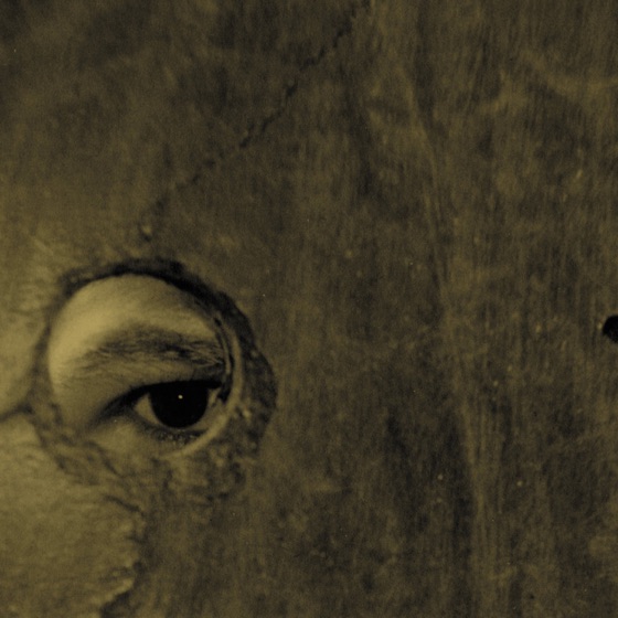 Cover artwork for The Birdcatcher's Return