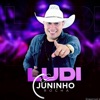 Ludi - Single