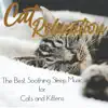 Cat Relaxation: The Best Soothing Sleep Music for Cats and Kittens album lyrics, reviews, download