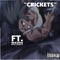 Crickets! (feat. Wavehi) - IFN Akai lyrics